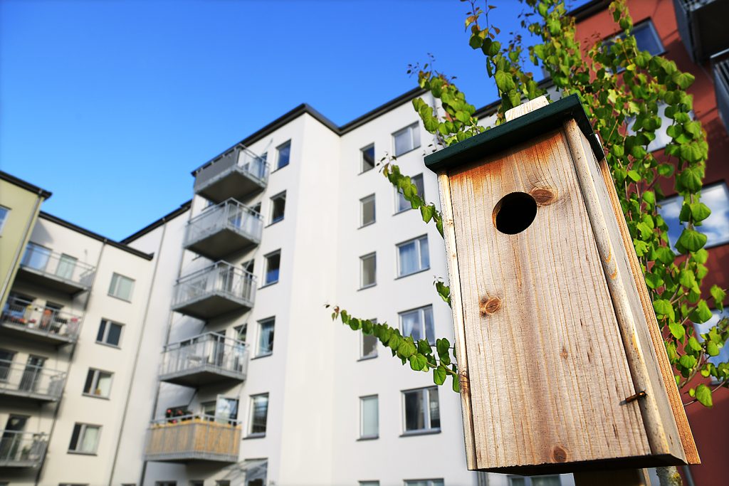 Arkitektur Bostäder Skogsviolen Södertälje, Peab Fotograf Peter Steen