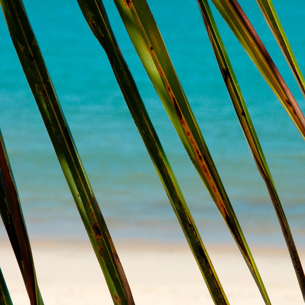 Bahia Brasilien stranden Fotograf Peter Steen