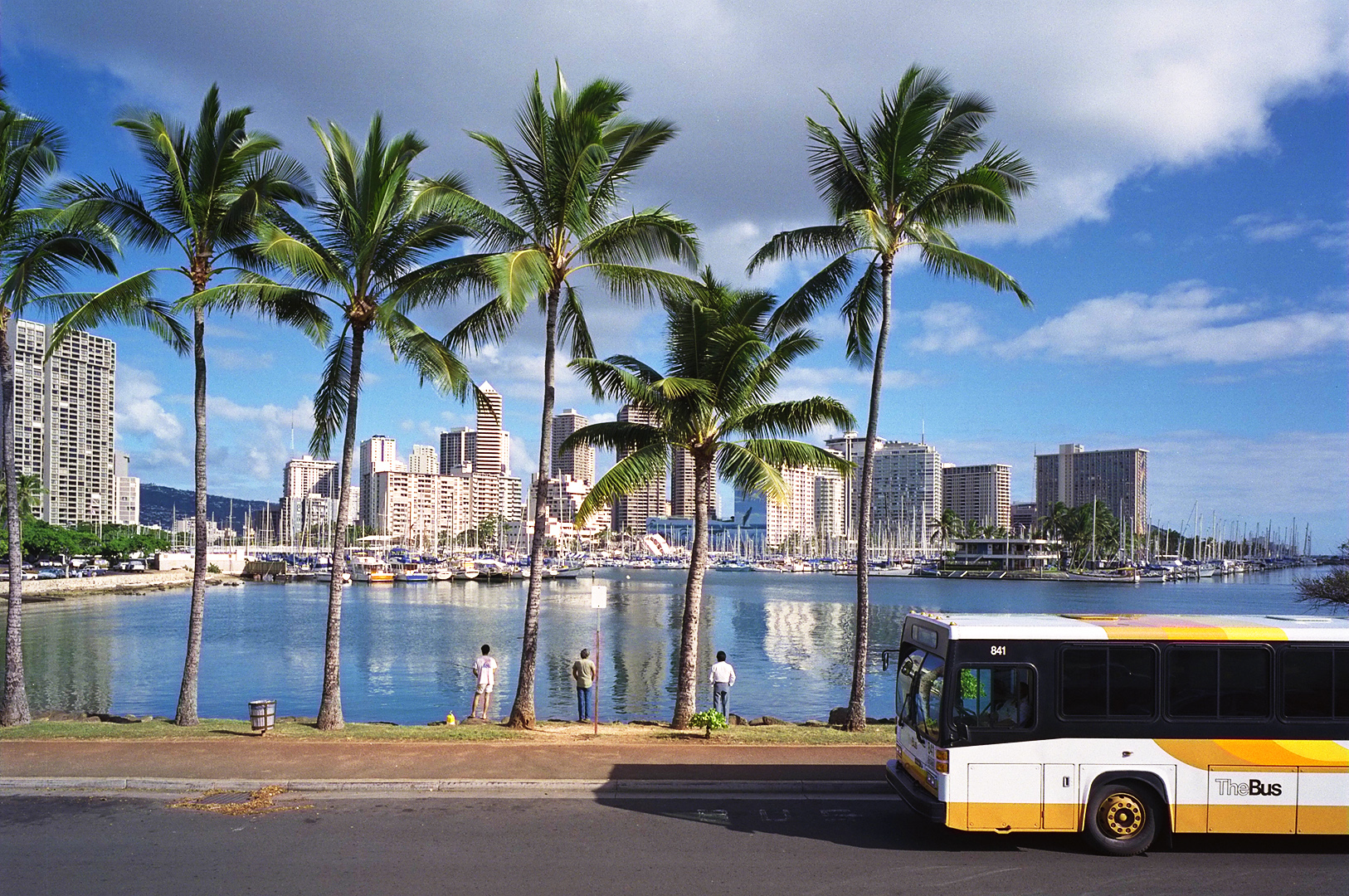 Bussar Honolulu Hawaii Fotograf Toivo Steen