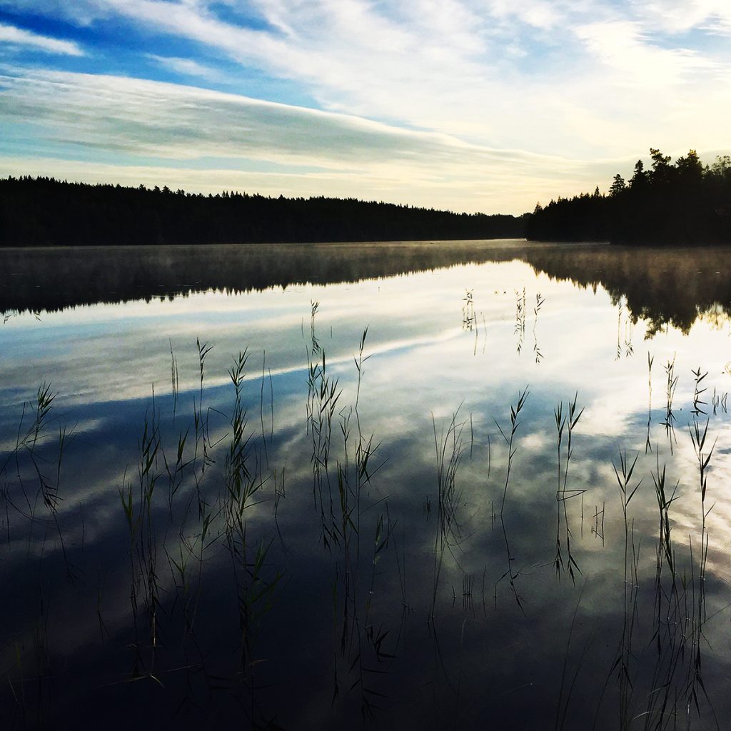 I de djupa skogarna, Dalsland Fotograf Peter Steen