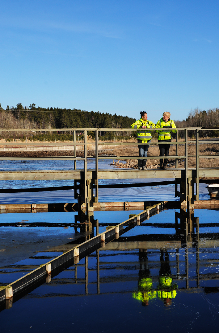 Lakvattendammar Avfallsanläggning Löt Vallentuna,Sörab Fotogra Peter Steen