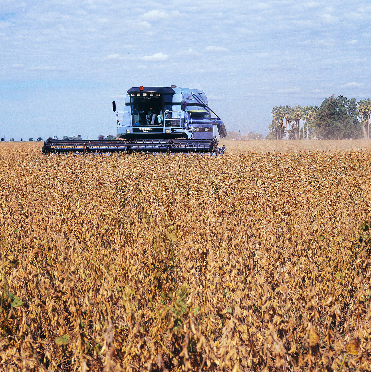 Skördetröskor San Vicente Pampas Argentina, Volvo Penta Fotograf Peter Steen