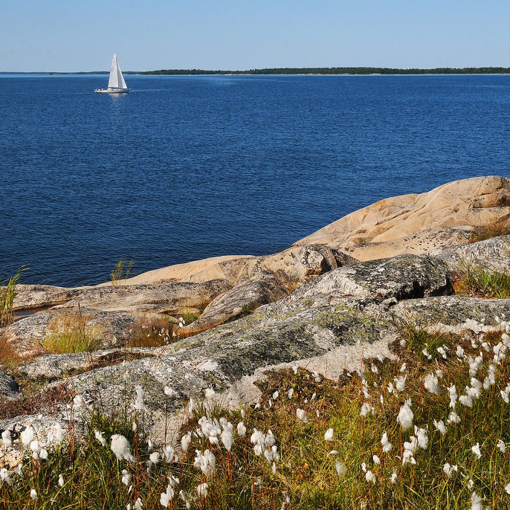 Utskärgård Fotograf Peter Steen